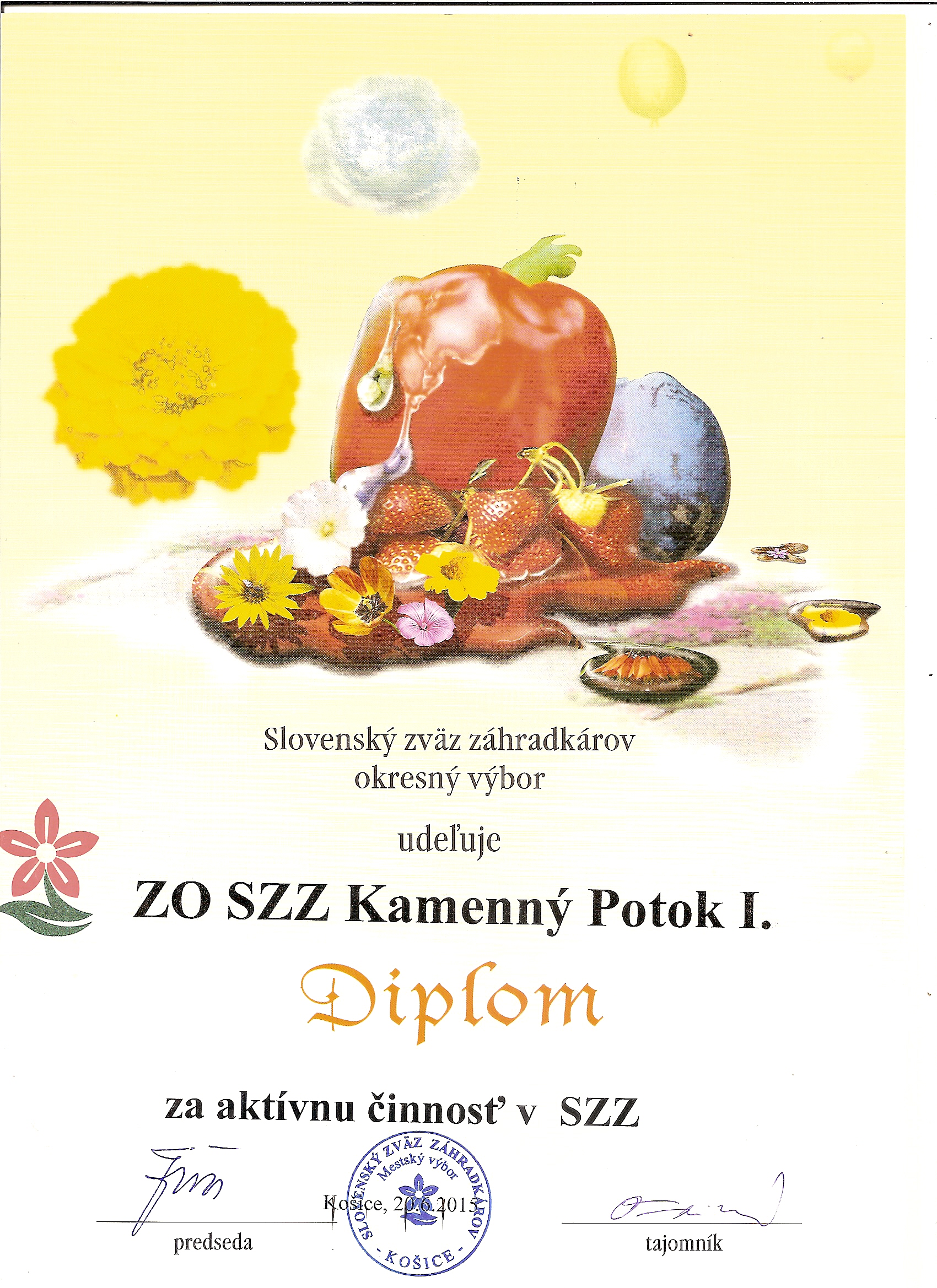 skenování0013